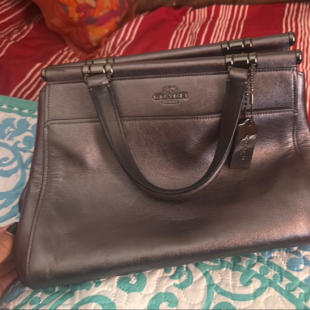 Coach Metallic Leather Bag
